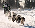 Dogsled racing