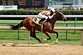 Thoroughbred horse racing at Churchill Downs