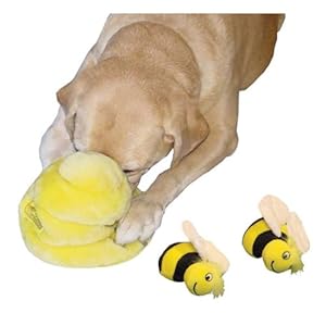 Hide A Bee Dog Toy