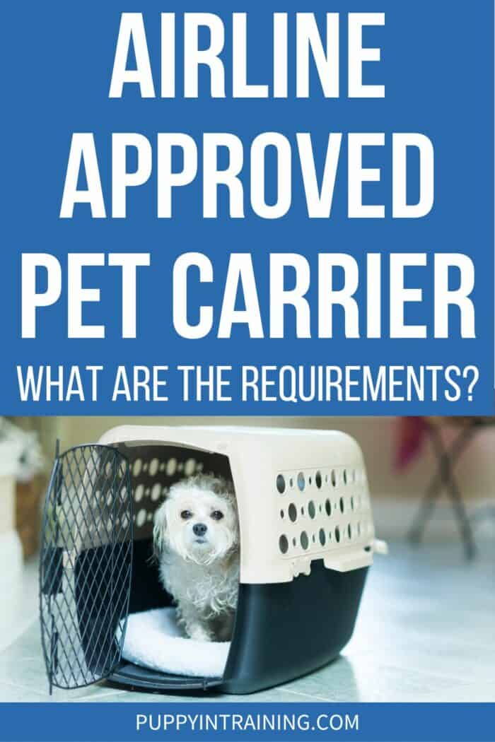 Airline Approved Pet Carrier: What Are The Requirements? - white dog sitting in plastic crate