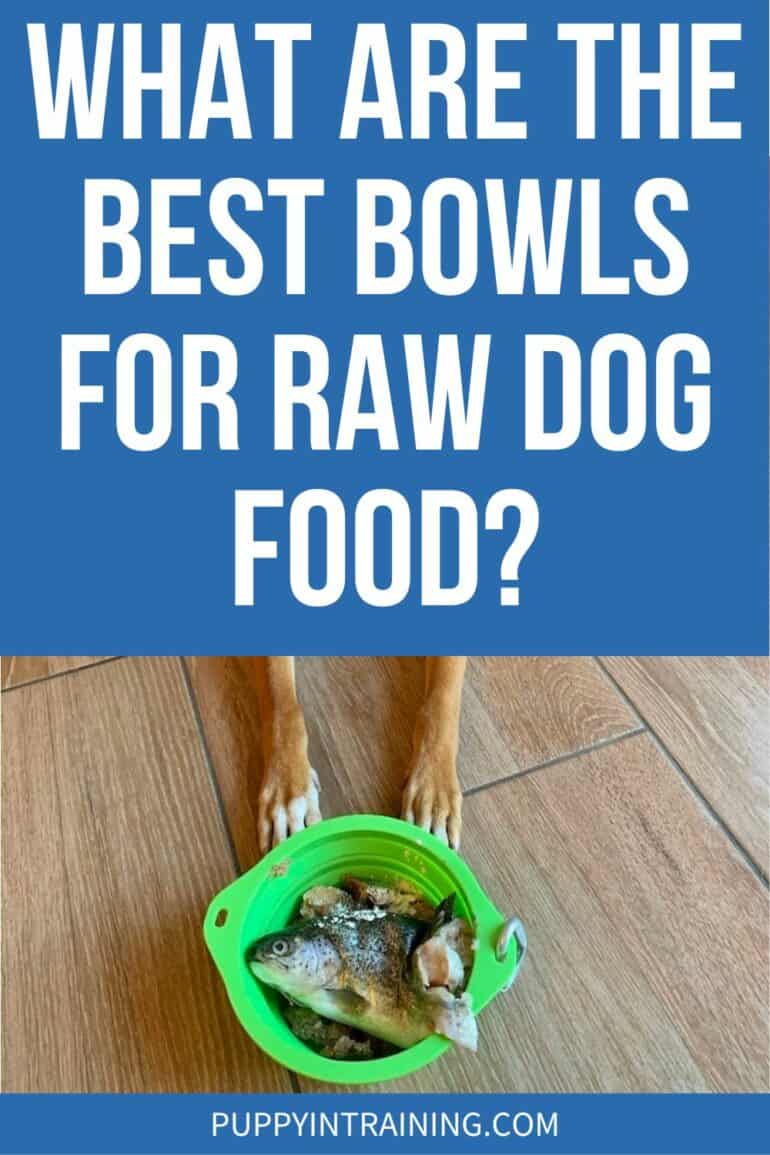 What Are The Best Bowls For Raw Dog Food? - bowl of raw food with two paws at top of pic