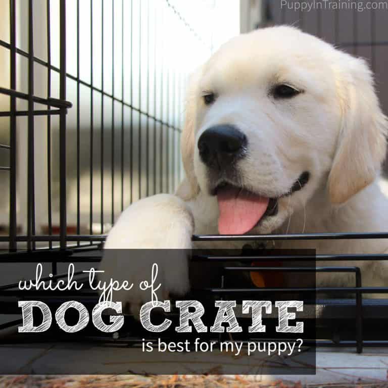 Which dog crate is best for my puppy?