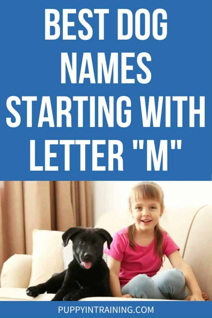 Best Dog Names Starting With Letter "M" - little girl sitting next to black lab puppy on couch