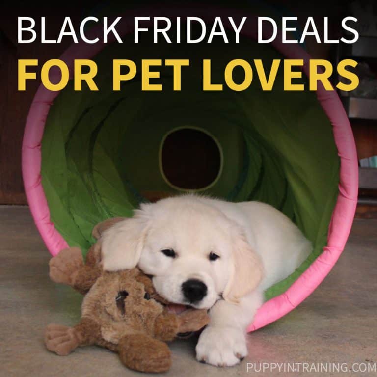 Black Friday Deals For Pet Lovers In 2022