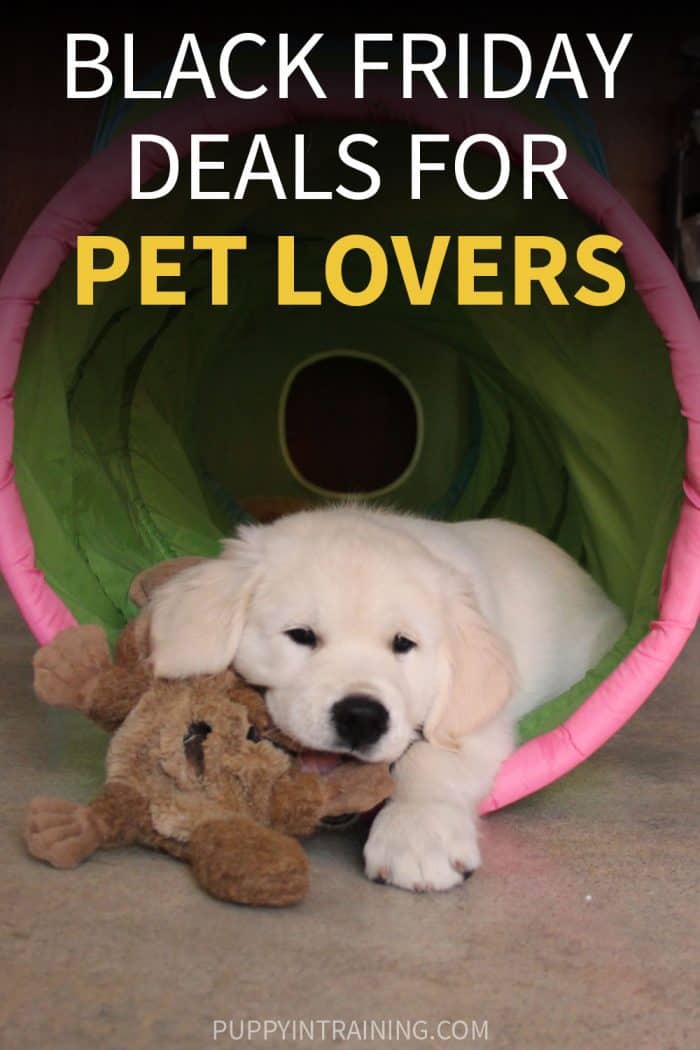 Black Friday Deals For Pet Lovers - Golden Retriever puppy hanging out in his puppy tunnel chewing on plush dog toy.