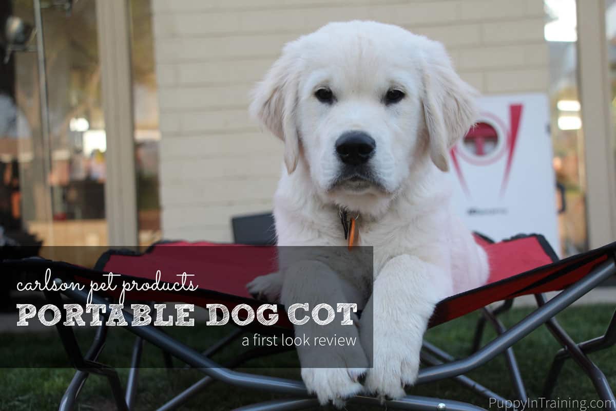 First Look: Carlson Portable Dog Cot Review. We really liked this elevated portable dog cot...