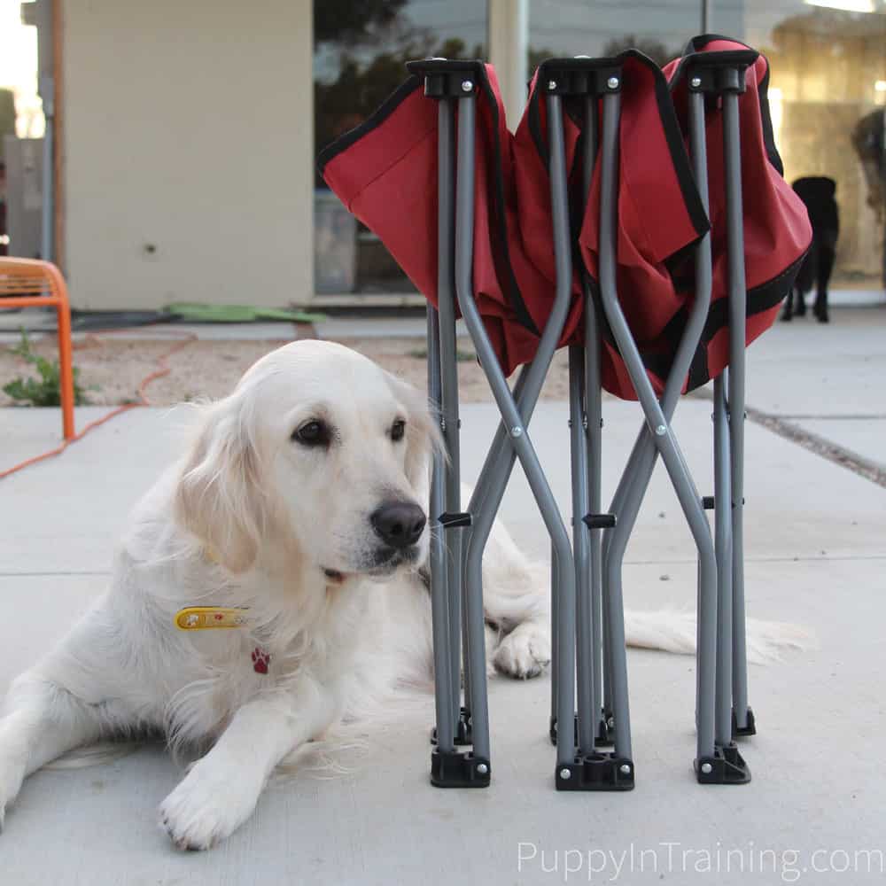 Our review of the Carlson Portable Dog Cot.