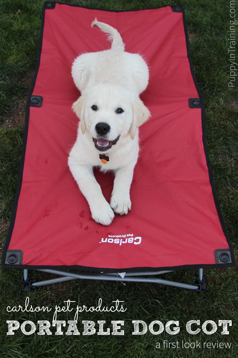 Carlson Portable Dog Cot Review. Our first look at the portable dog bed. Great for camping, hiking, backpacking...and other outdoor activities.