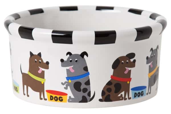 Ceramic Dog Bowl