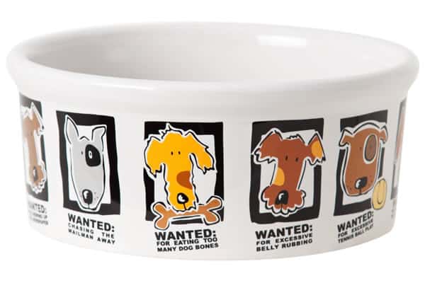 Ceramic Dog Bowl 6