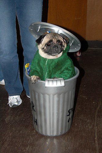 Oscar the Grouch Dog Costume