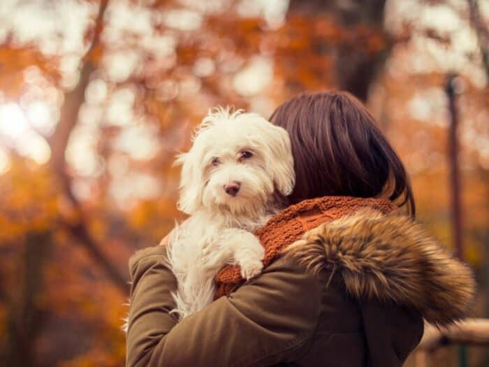 Doggy Love - white dog being held by dog mom with blurred trees