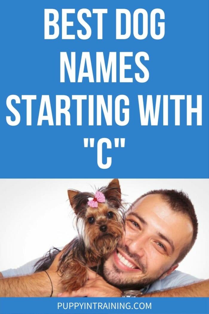 Best Dog Names Starting With "C" - man holding yorkie by his face