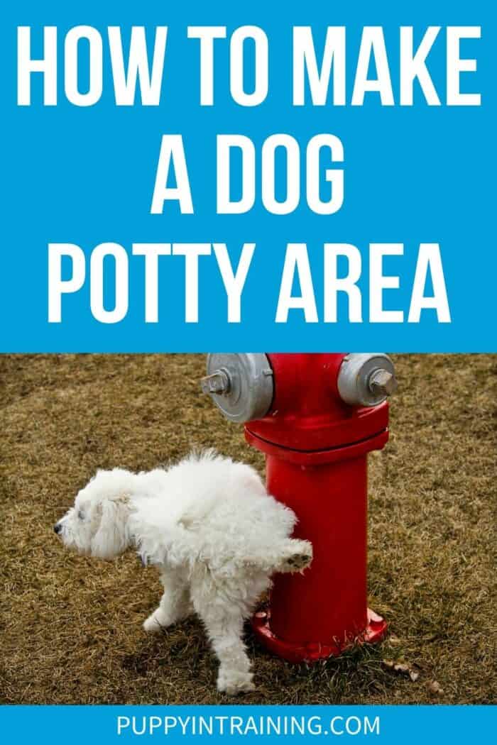 How To Make A Dog Potty Area - White Dog Fire Hydrant peeing