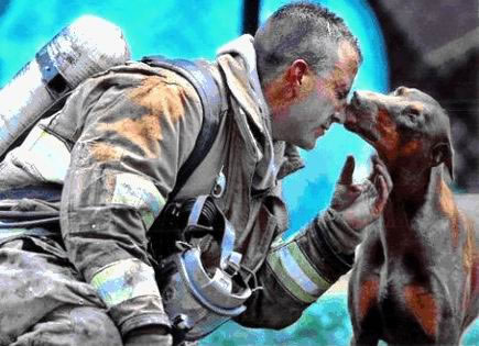 Dog Kissing Firefighter