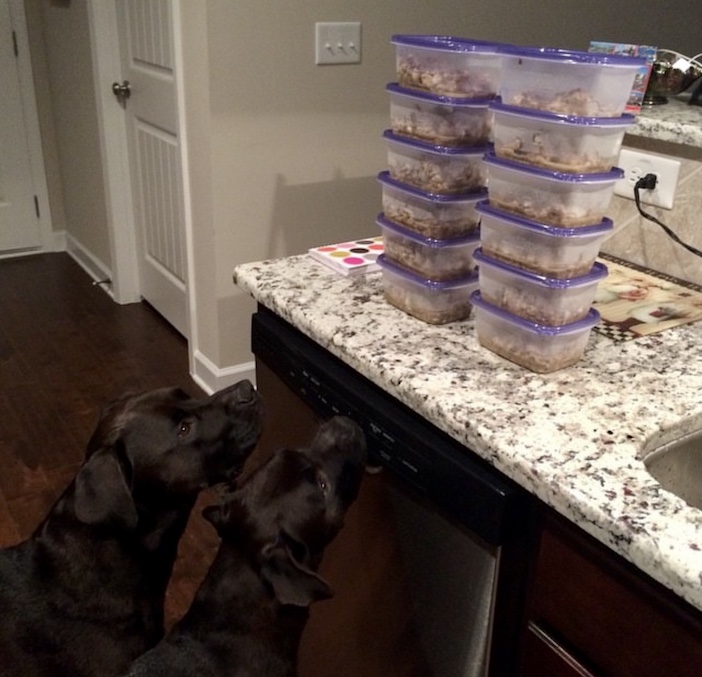 My dogs Missy & Buzz with their homemade dog food stored in airtight food-storage containers.