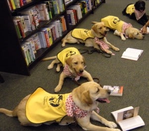 Guide Dogs Reading Marley And Me