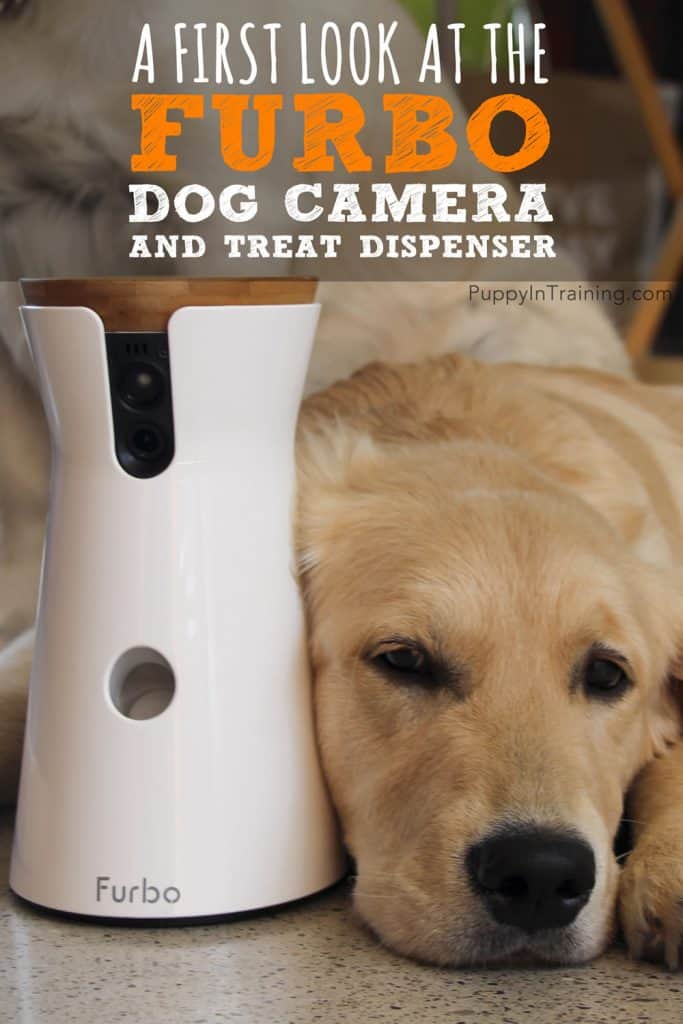 Furbo Dog Camera Review