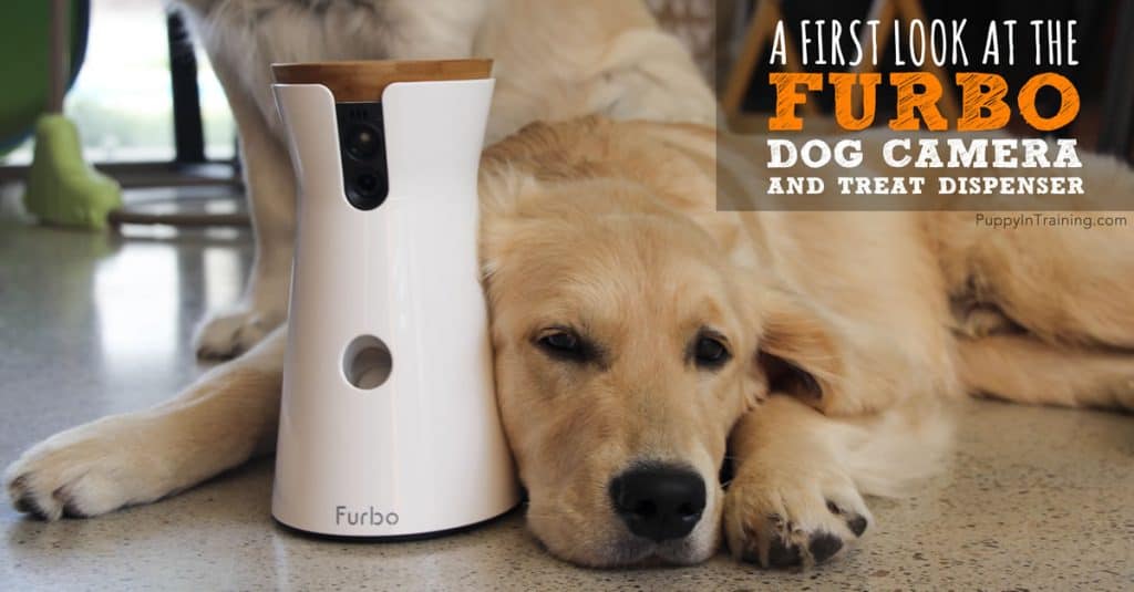 Furbo dog camera and treat dispenser