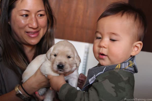 Our Golden Bear meets our lil' nephew - Day 18