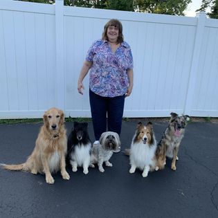 Me with my five confident, happy dogs who are given life choices