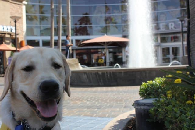 Journey at the District Water Fountain