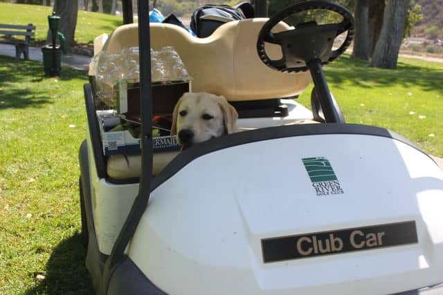 Journey riding in the golf cart