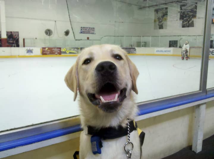 Journey at the hockey game