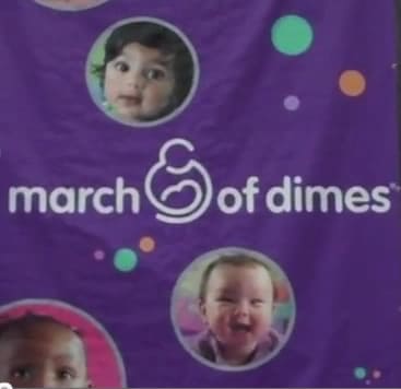 Puppy In Training TV  Ep13 – GDA Puppies And The March Of Dimes