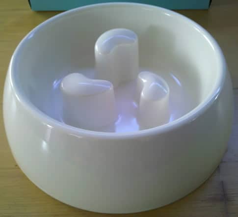 Full View of the Martha Stewart Pets Slow Feeder Dog Bowl