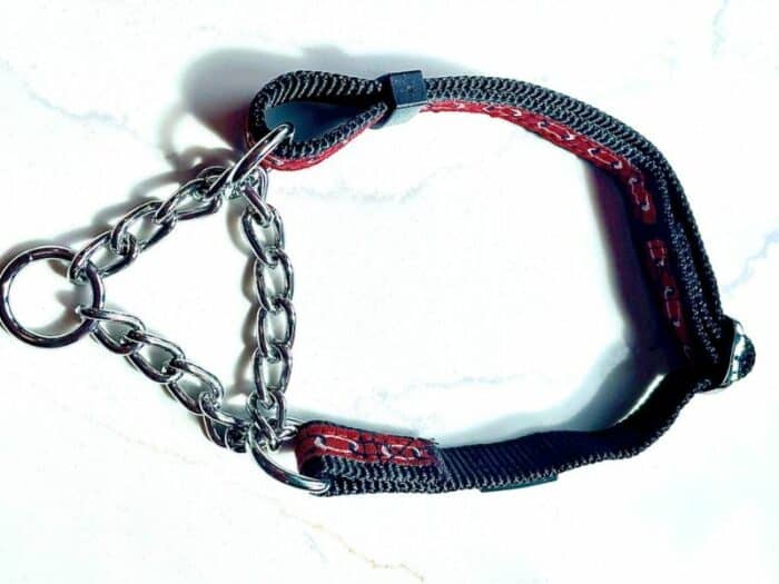 Martingale Training Collar blue and red with chain.