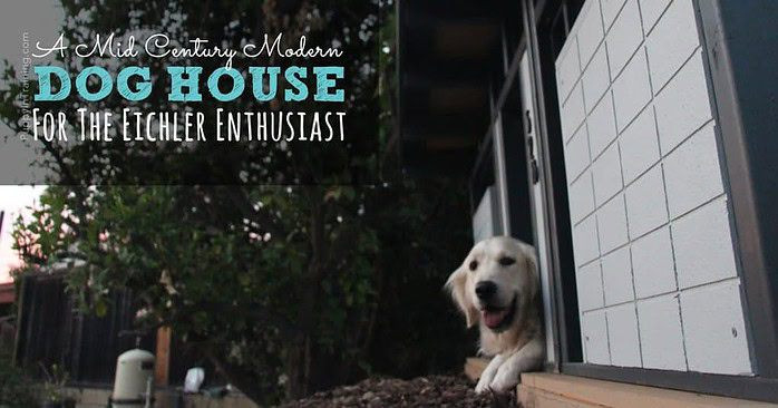 Raven loves her mid century modern dog house! She must be an Eichler enthusiast :)