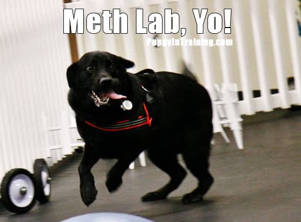 Meth lab, Yo!