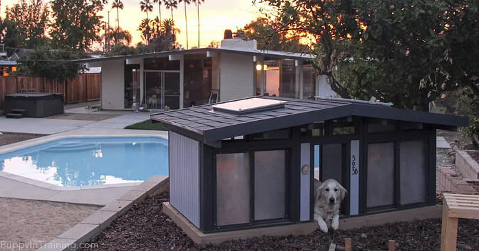 Raven's custom dog house get the sunset over the human's Eichler home.