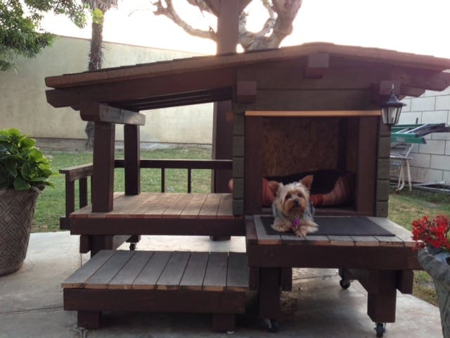 Custom Dog House