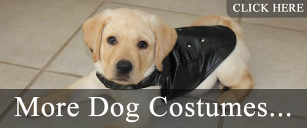 More cute dog costumes