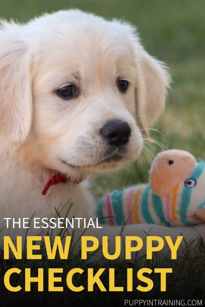 New Puppy Checklist - Golden Retriever puppy with his toy