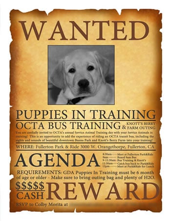 OCTA Bus Training for Pups