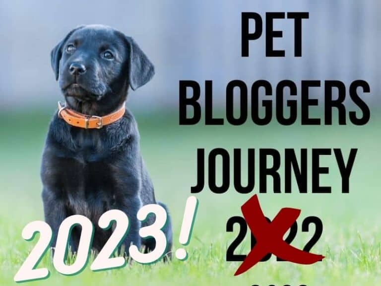 Pet Bloggers Journey 2023