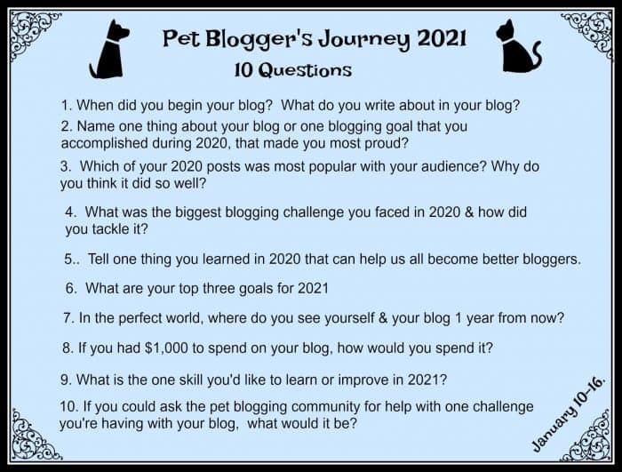 Pet Bloggers Journey 2021 Questions - Dog and Cat