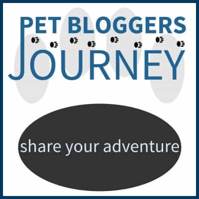 Pet Bloggers Journey: Share Your Adventure - Our yearly post reflecting back on the past year and looking forward to the future 