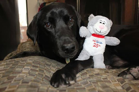 PetSmart Turns 25