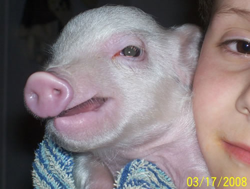 Pink at 5 weeks.  He does not like baths