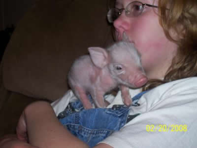 Pink the Piglet