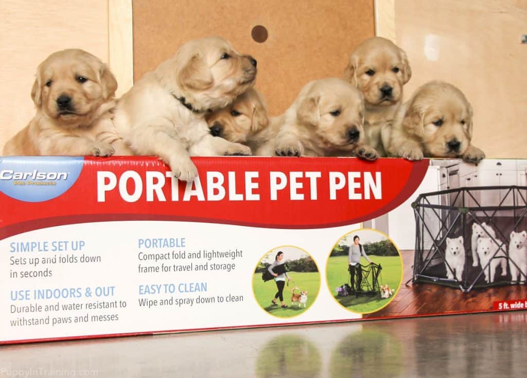 Carlson Portable Pet Pen Review