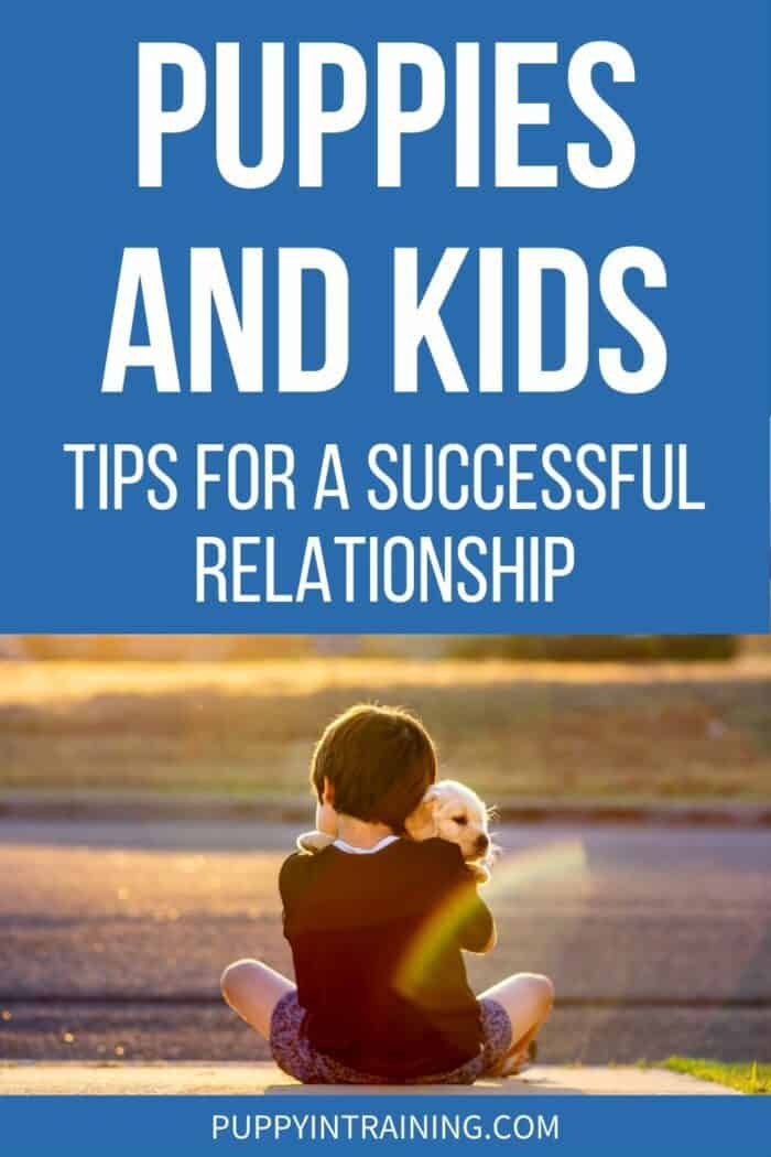 Puppies And Kids Tips For A Successful Relationship - Kid sitting holding a puppy in arms watching the sunset.