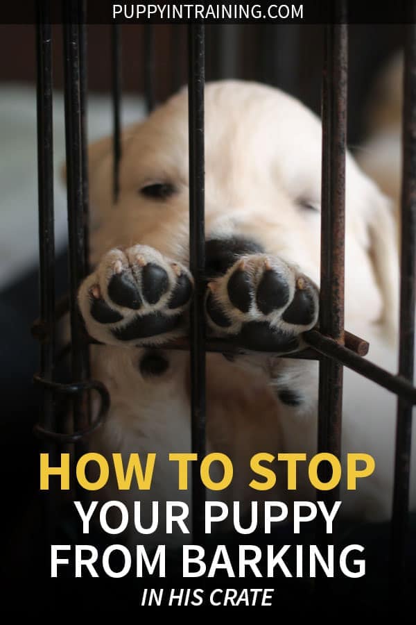 How to stop a puppy from barking in his crate at night