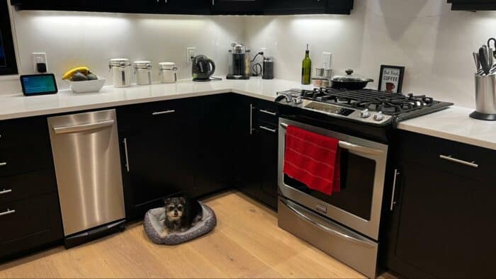 Puppy In "Place" - puppy sitting in dog bed in the kitchen following the "place" command