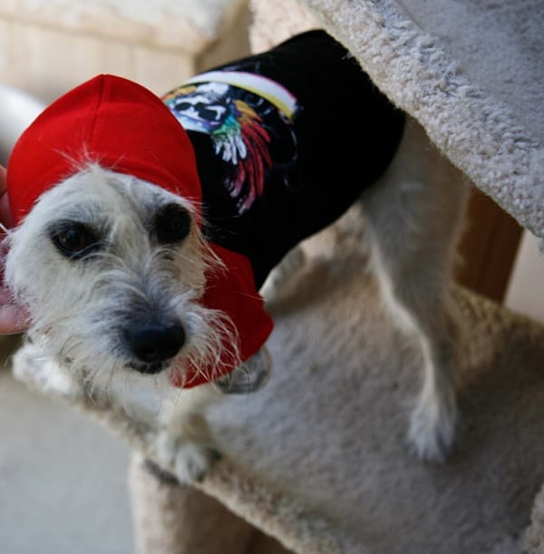 Ralphie wearing his Bret Michaels Tattoo Hoodie