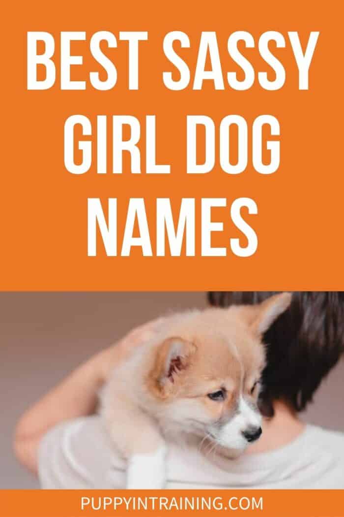 Best Sassy Girl Dog Names - puppy being held on shoulder